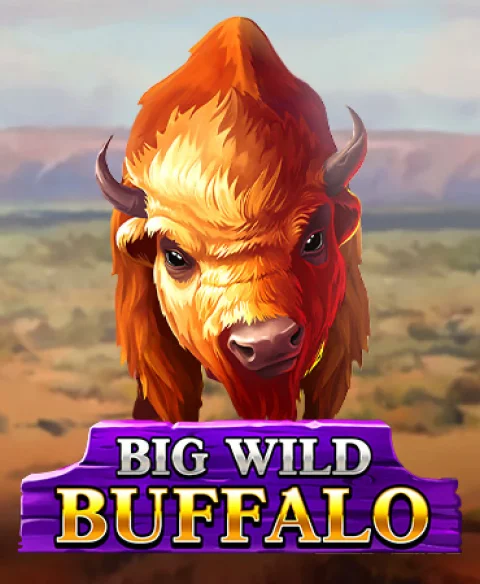 Play Big Wild Buffalo at Zinkra Casino